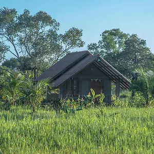 Farm , Habarana Sri Lanka